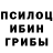 Псилоцибиновые грибы ЛСД asalikisan