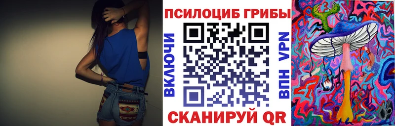 Псилоцибиновые грибы Cubensis  Дудинка 